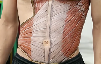 body painting to resemble the muscle anatomy of the abdomen