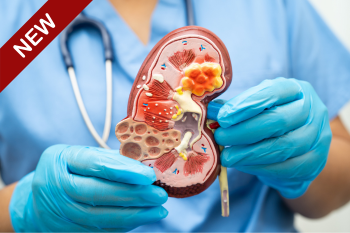 Nurse with a figure of kidney