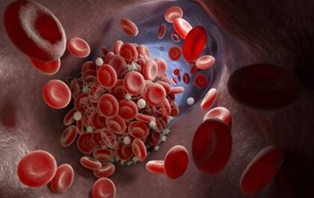 animated red blood cells flowing through the vein.