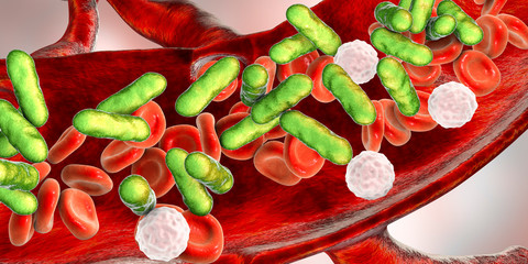 animated image of blood cells and bacteria 
