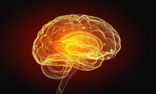 animated image of the brain