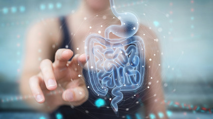animated image of the gut