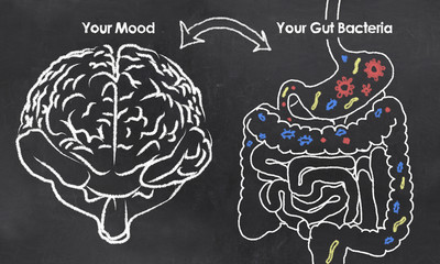 animation image of brain and gut