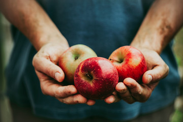 man holding 3 red apples