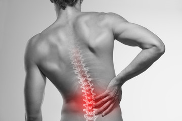 Image of a mans back, with an animated spine. 