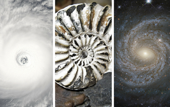 3 images of spirals found in nature